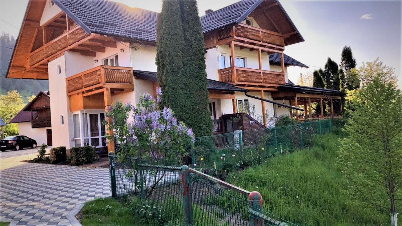 Pensiunea Casa-Stefanel Sadova  Bagian luar foto