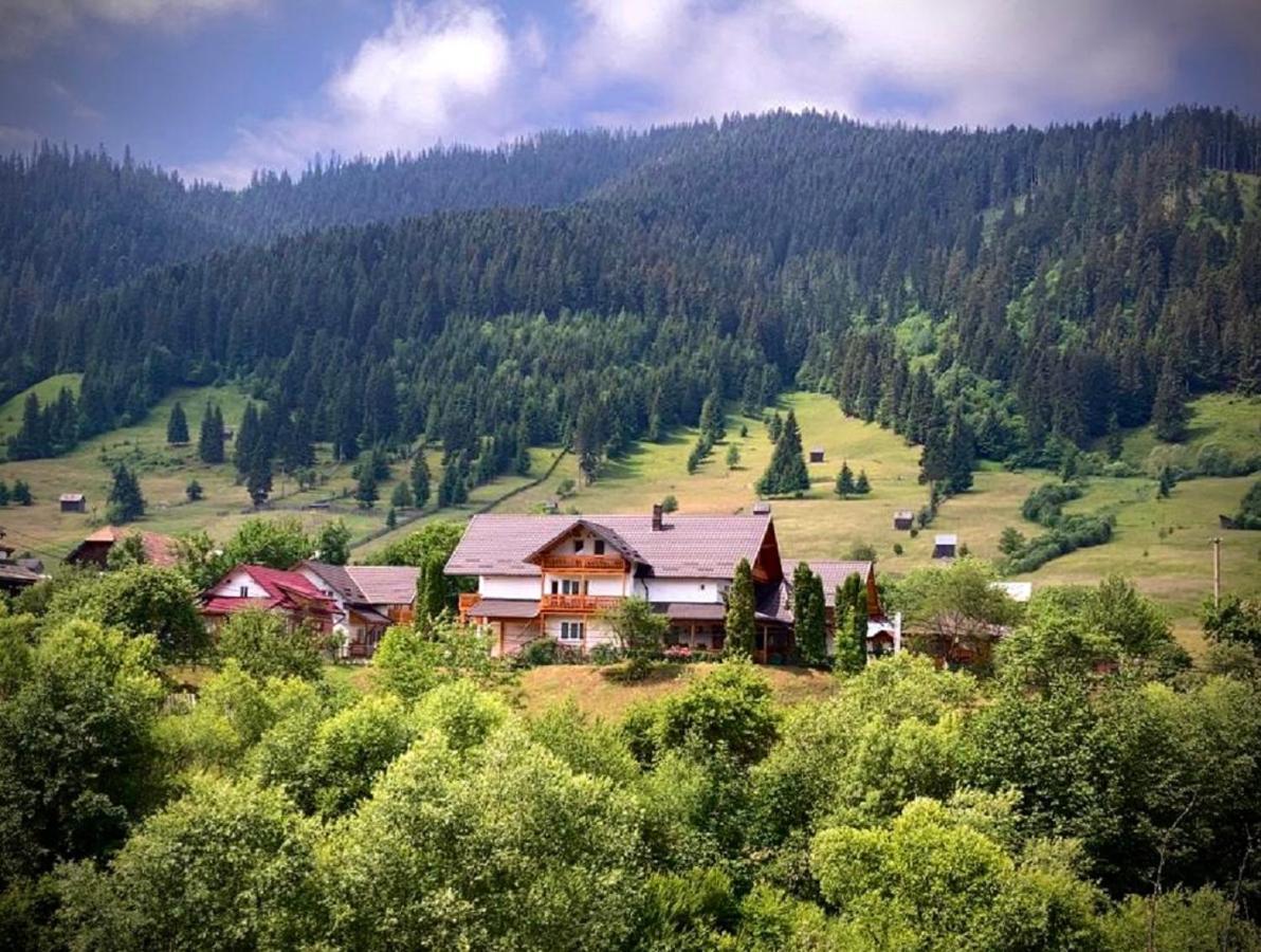 Pensiunea Casa-Stefanel Sadova  Bagian luar foto